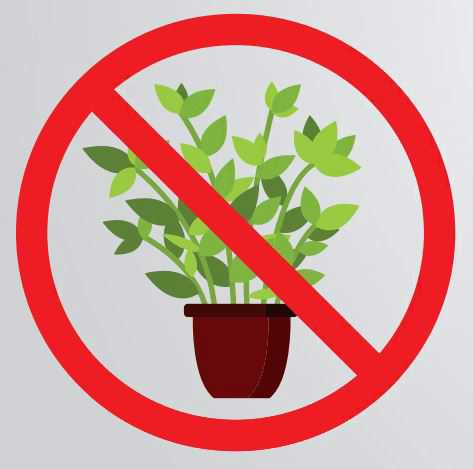 Forbudt tegn over en plante